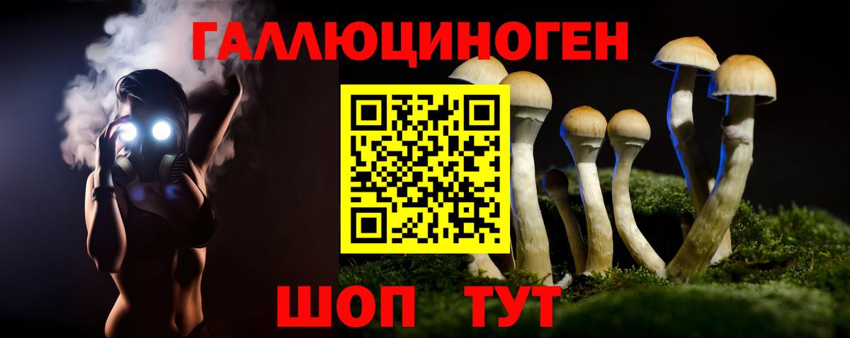 Пушкино  Псилоцибиновые грибы ЛСД  Вход с VPN 